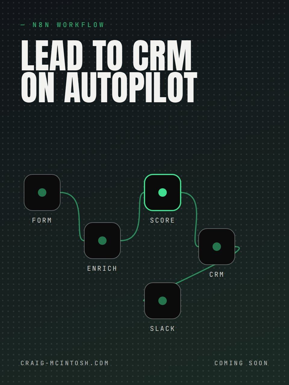 Lead to CRM workflow